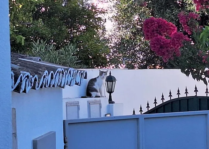 Casa Bravo Lejlighed