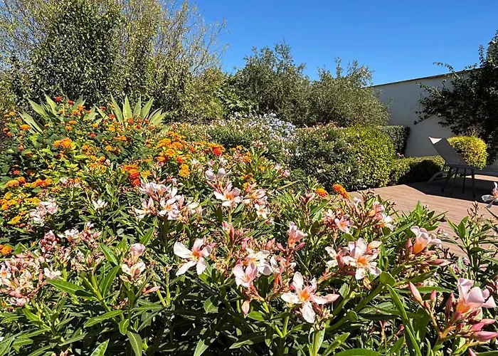 Casa Bravo Lejlighed Querenca