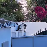 Casa Bravo Διαμέρισμα